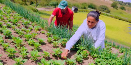 Foto por Jeso Carneiro no flickr